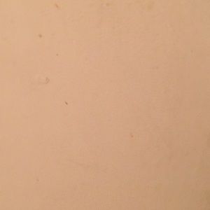 Meet your Posher, Roscoe